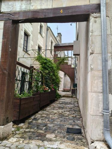 Gîte familial au cœur de Saint-Aignan séjour idéal 3 nuits à 5 min du Zoo de Beauval