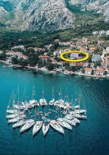 D&N Adriatic Nest