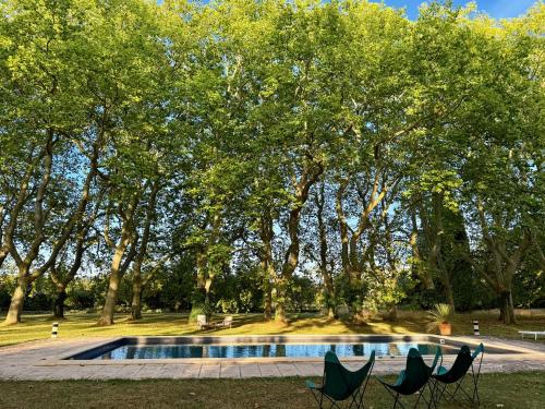 Swimming pool, La Suite de la Bastide in Montlaur