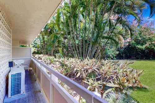 Plantation Hale - image 5