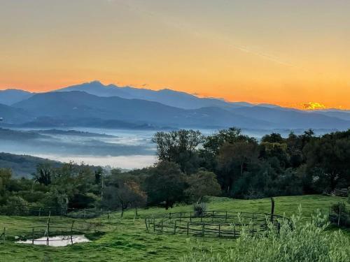 Villa del Sognatore, tuscan villa with pool for 12 in Tresana
