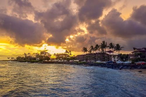Islander on the Beach 339 - image 13