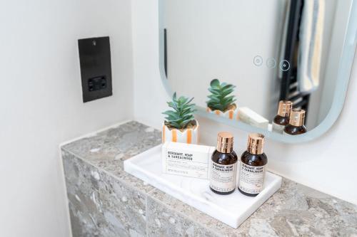 Luxury 2 Bed 2 Bath King Cross with Terrace London 