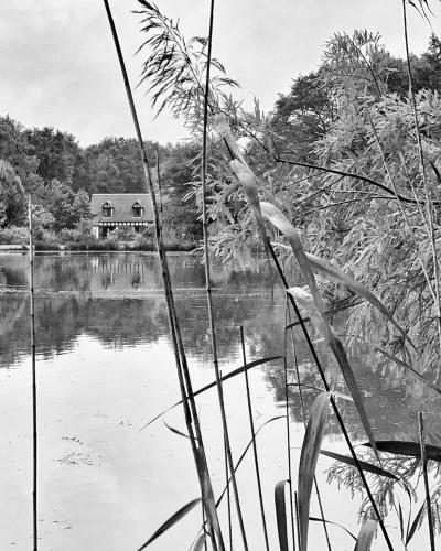 Les Pruniers Rouges in Mur-De-Sologne