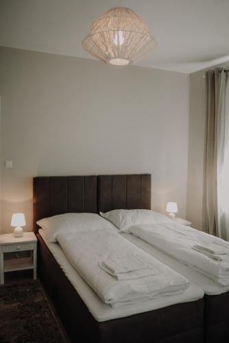 Old Town Apartments - Sieradz