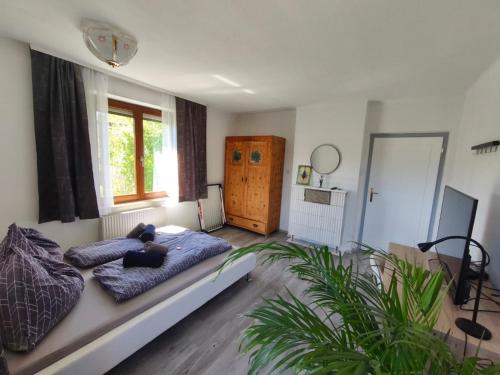 Spacious Room in Modern Flat