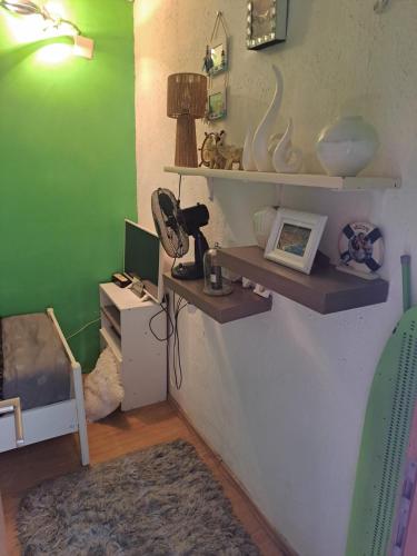 S-type apartment in the center