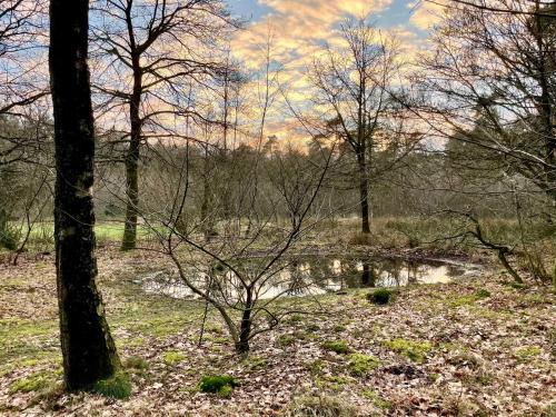 Surrounding environment, Gastenhuis Deurnink in Lochem