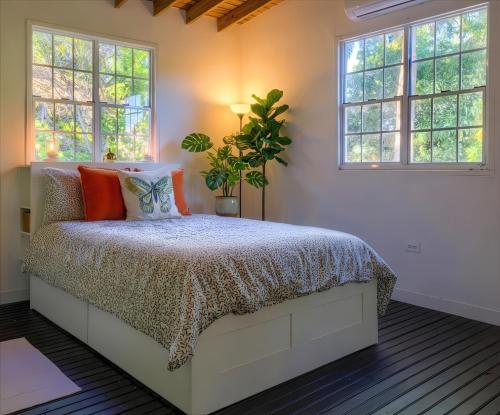 Country House 3 acres of Privacy and Outdoor Space in Camuy