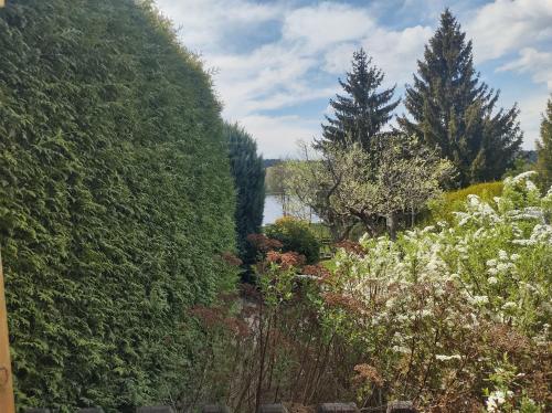 Uitzicht, Studio Na pláži (Studio Na plazi) in Frymburk