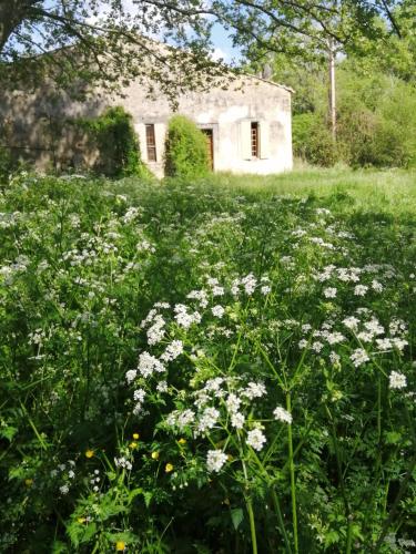 Petit Mas in Simiane-la-Rotonde