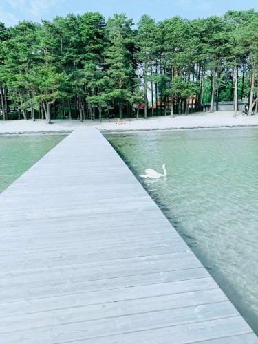RYMLIG RENOVERAD GÄSTBOSTAD med egen ingång nära stranden i HÄLLEVIK