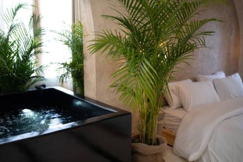 Olive Oasis With Jacuzzi - image 3