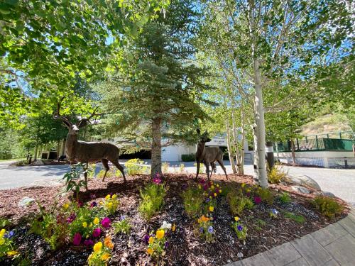 Saints John 2517 by SummitCove Lodging in Keystone, USA
