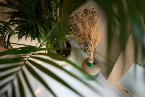 Tulum getaway - image 14