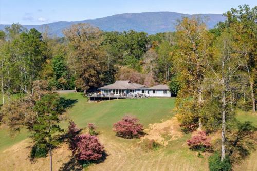 40 Acre - Mechum Hill - Main House - Farm Stay - image 6