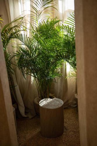 Nature Nest With Jacuzzi - image 7