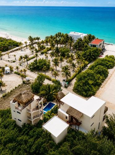 Island Escape for Groups Hosted by Atenea Holbox