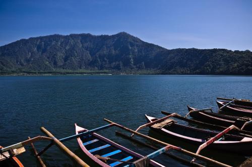 Strawberry Hill Hotel & Restaurant - Bali Strawberry Hill Hotel & Restaurant - Bali