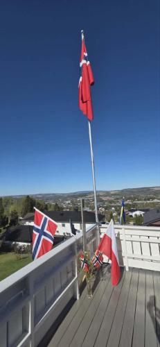 A környék, Gjesterom til leie i et privat hus, 4t forhåndsbestilling (Gjesterom til leie i et privat hus, 4t forhandsbestilling) in Hamar