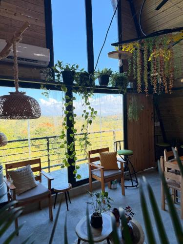 Alpine Cabin PR 2026 in Pinalito