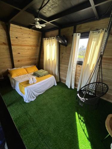 Alpine Cabin PR 2026 in Pinalito