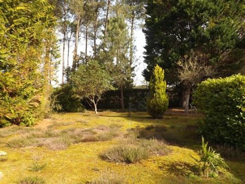 Villa accueillante, animaux permis - 6 pers. - FR-1-881-4 in Vielle-Saint-Girons