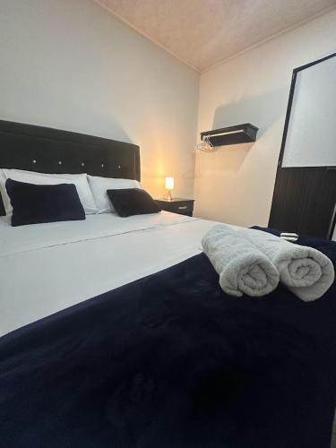 Hotel las Palmas Lejanías - Meta