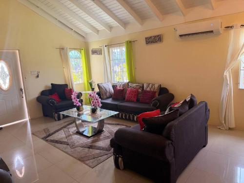 Royal Palm Luxury Villa – khách sạn tại Great Pond