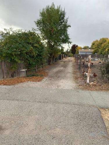 Forest & Vine Cottage in Templeton in Templeton (CA)