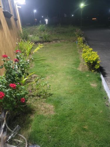 Dārzs, Estadía Climatizada en Escuintla (Estadia Climatizada en Escuintla) in Escuintla
