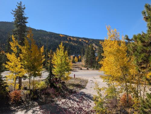 Keystone Prospectors Home 669 by SummitCove Lodging in Keystone, USA