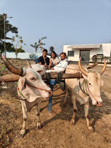 Paradise Carnival Agro Tourism Centre in Balapur