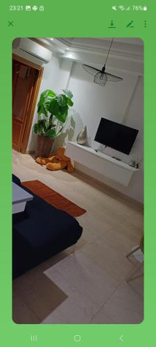 Villa n 5 in 贾尔丁斯德迦太基