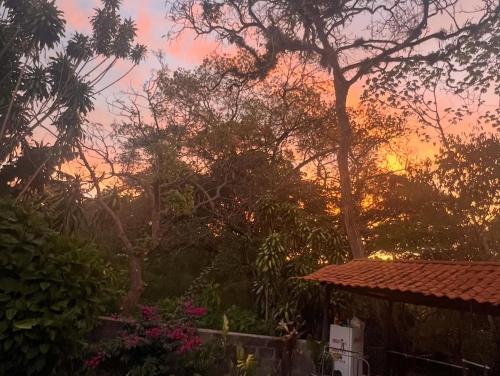 Blue Palm Bed & Breakfast - image 5
