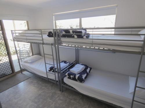 2 queen beds, 2 bunk beds