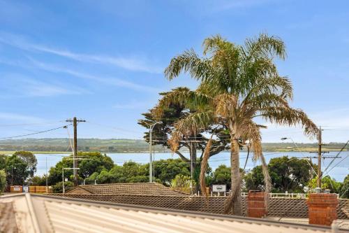 Willos' - Queenscliff