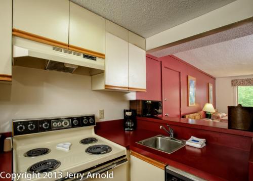 Snowy Owl Inn - image 9