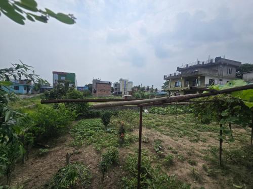 Jhapali Hotel and lodge in Simara