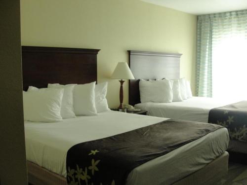 Gold Leaf Hotel of Dewey Gold Leaf Hotel of Dewey is perfectly located for both business and leisure guests in Dewey Beach (DE). The property offers a wide range of amenities and perks to ensure you have a great time. Service