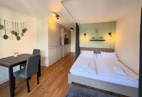 HID AG: Lakeview Studio mit Parkplatz und Balkon in Därligen, Schweiz