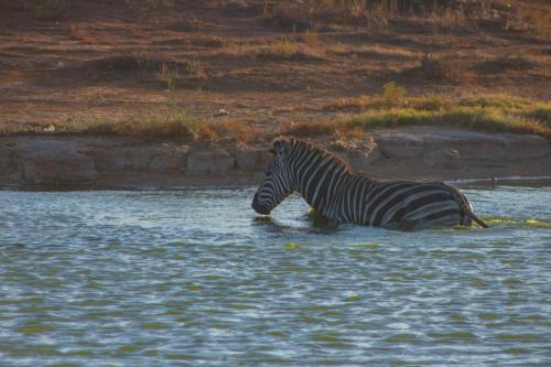 Nama-Qua Game Reserve in Vredendal