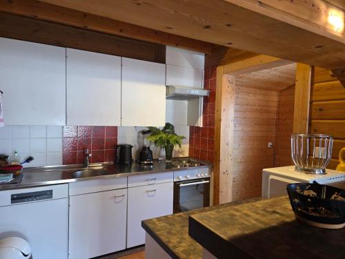 Cozy Chalet in Alpine village, Interlaken region in Diemtigen