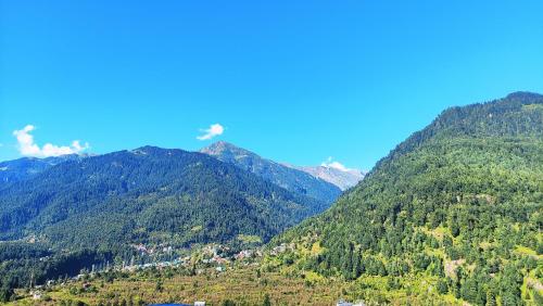 Wander Nest Manali Luxurious rooms with mountain peaks and waterfall view - Manali