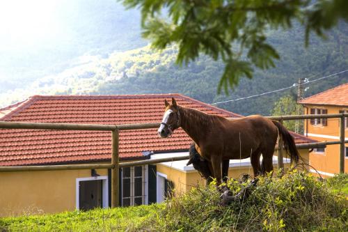 Jāšana, Casa Nord Silvano - rustico di paese in Borghetto dʼArroscia