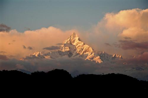 New Annapurna Guest House