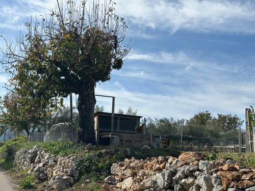 House between Mostar and Medjugorje in Gradnići