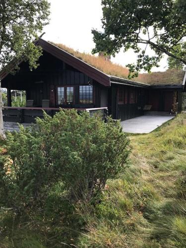 Authentic Cabin Overlooking Lake Møsvann – khách sạn tại Torvetjorn