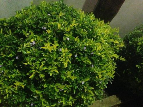 Exterior view, Hardrock Guest House in Francistown