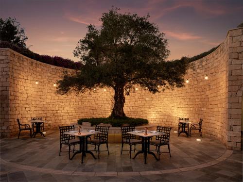 Elysium Resort - image 11